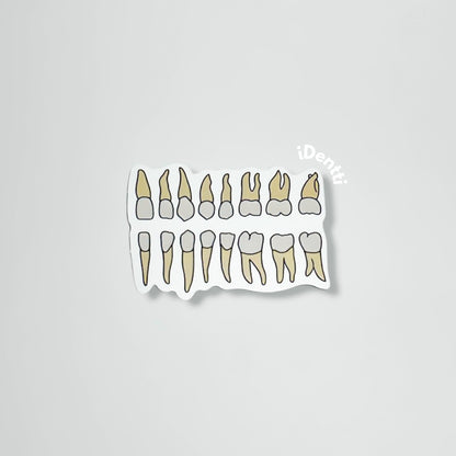 Stickers dentales
